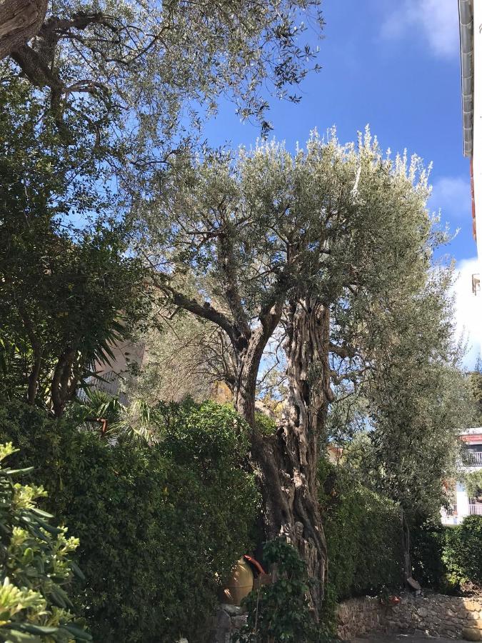 L'olivadou ST JEAN CAP FERRAT Saint-Jean-Cap-Ferrat Exterior foto