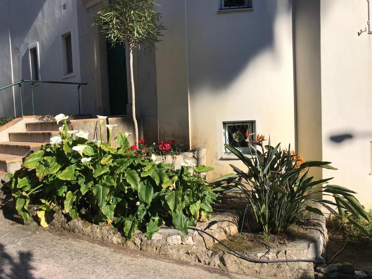 L'olivadou ST JEAN CAP FERRAT Saint-Jean-Cap-Ferrat Exterior foto